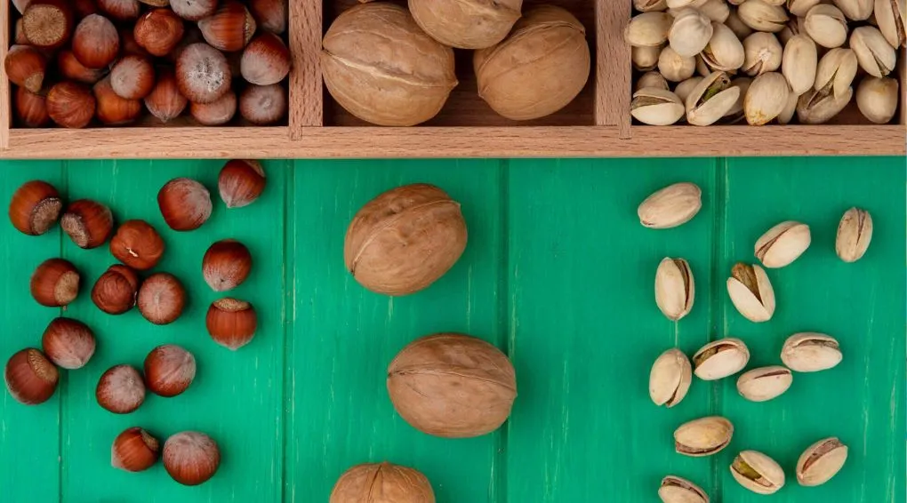 TOP 7 NUTS AND SEEDS TO KEEP YOU HEALTHY AND ENERGIZED