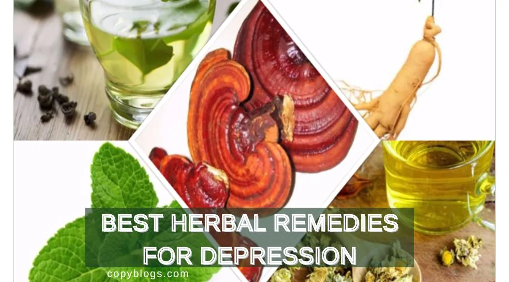 Best Herbal Remedies for Depression