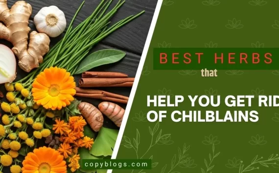 BEST HERBS THAT HELP YOU GET RID OF CHILBLAINS