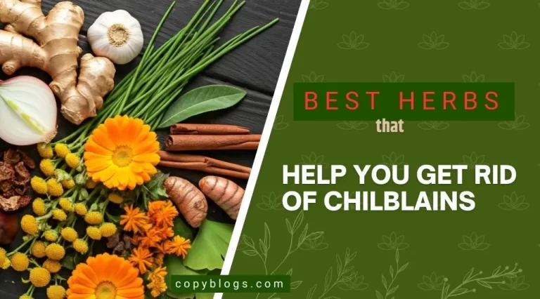 Best Herbs That Help You Get Rid of Chilblains