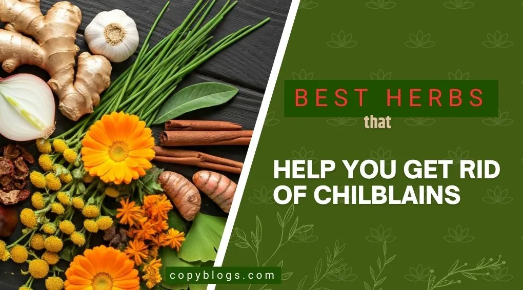 BEST HERBS THAT HELP YOU GET RID OF CHILBLAINS