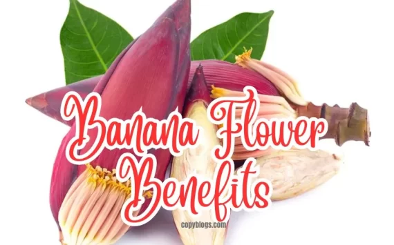 Banana Flower Benefits: A Nutrient Powerhouse Food