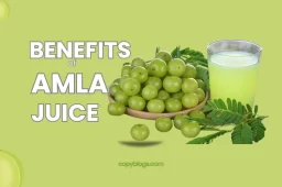 Benefits of Amla Juice