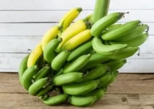 Infographic comparing health benefits and nutrition of green and ripe bananas.