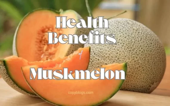 HEALTH BENEFITS OF MUSKMELON