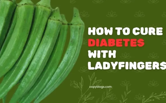 HOW TO CURE DIABETES WITH LADYFINGERS