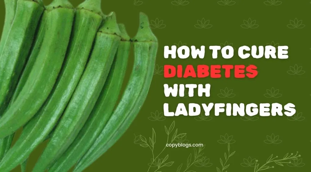 HOW TO CURE DIABETES WITH LADYFINGERS