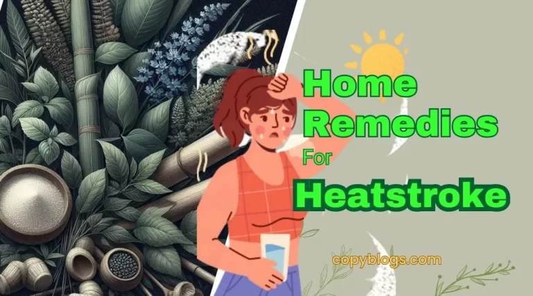 effective home remedies for heatstroke