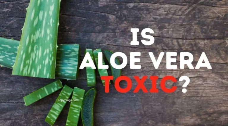 side effects of aloe vera