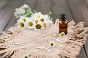 Dried chamomile flowers and a bottle of herbal-infused facial mist