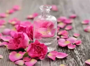 DIY pure rose water skin toner recipe with fresh rose petals and distilled water in glass bowl.