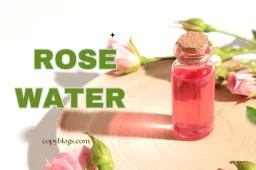 Rose Water Toner: Benefits, Uses, and Side Effects