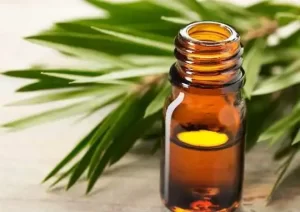 Tea tree oil bottle and small DIY spray on a white towel background