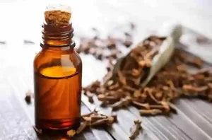 Clove oil bottle with whole cloves for oral care