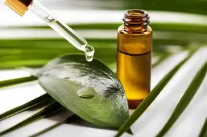 Tea tree oil remedy applied to gums for irritation relief
