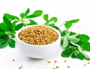 Close-up of fenugreek seeds highlighting hair benefits.