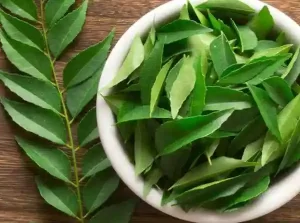 Fresh curry leaves in a small clay bowl.