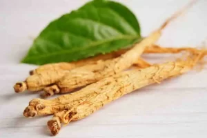 Dried red ginseng roots on a wooden surface.