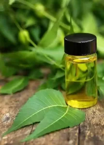 Neem oil in a glass bottle with neem leaves.