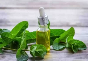 Peppermint essential oil bottle with fresh mint leaves.