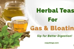 Best 8 Herbal Teas for Digestion After Meal