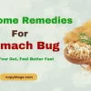 Natural home remedies for stomach bug and intestinal infection using herbs and healthy drinks.